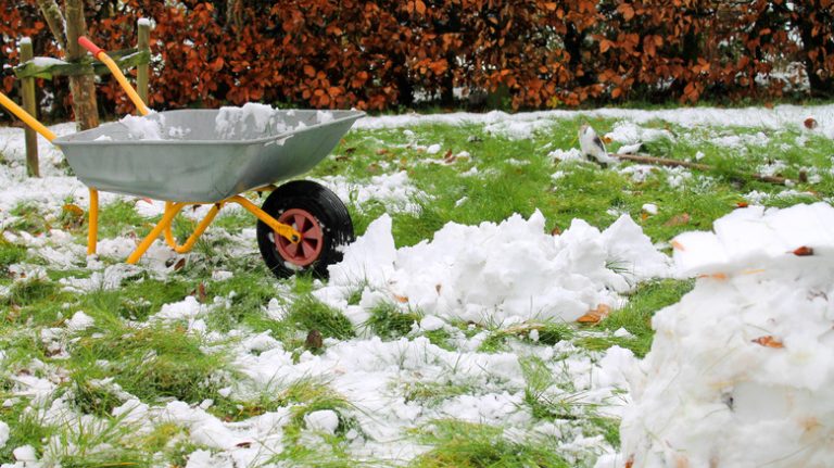 wheelbarrow on snowy lawn