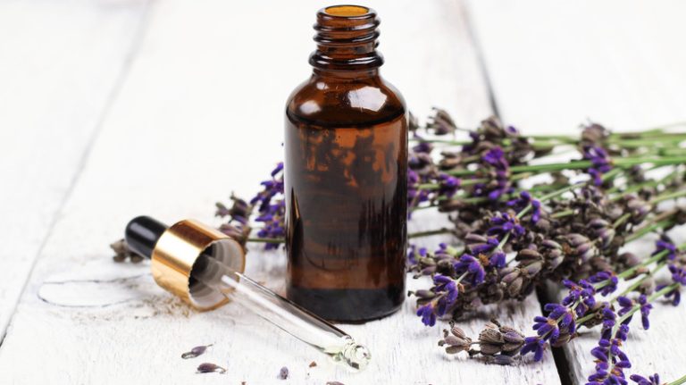 lavender essential oil