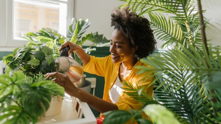 woman caring for house plants