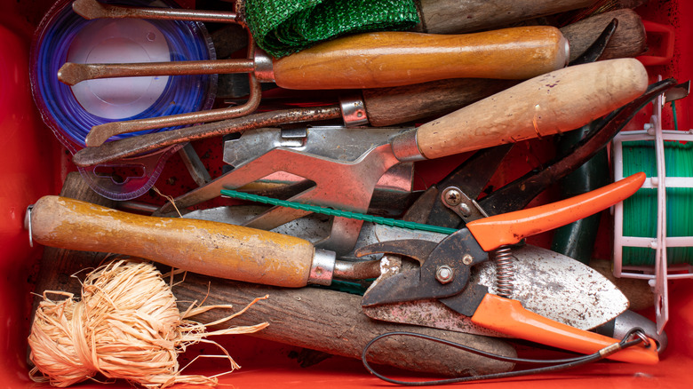 tub of dirty gardening tools