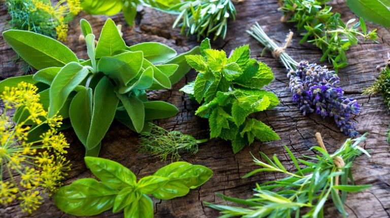 bundles of herbs