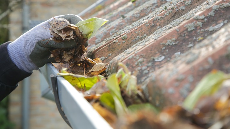 someone cleaning their rain gutters