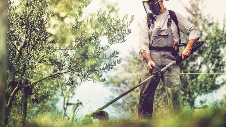 person using a grass trimmer