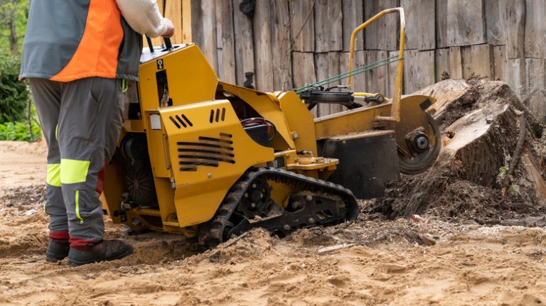 machine removing tree