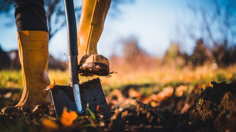 Booted feet digging with shovel