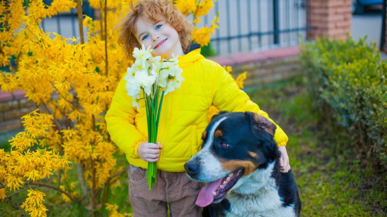 Child with daffodils and dog