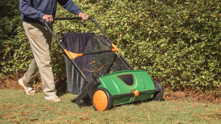 person pushing lawn sweeper