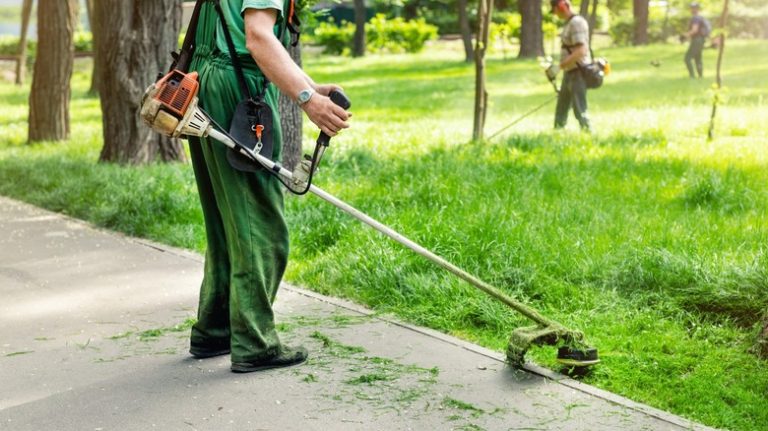 Men using weed trimmers