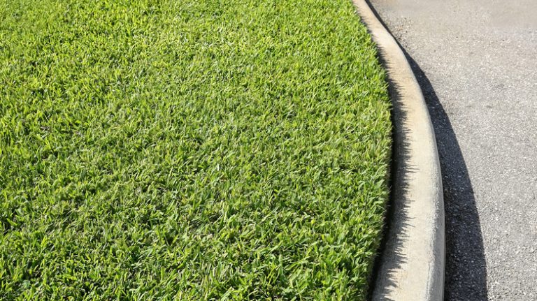 Cut grass near curb