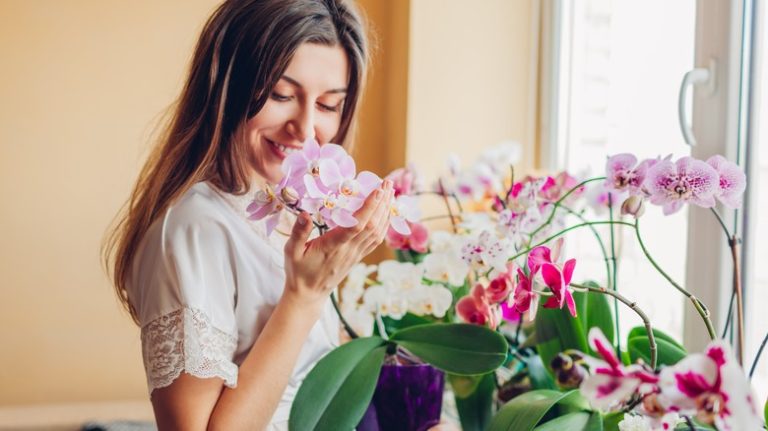 Person smelling orchid