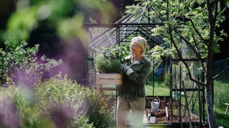 Person tending to their garden