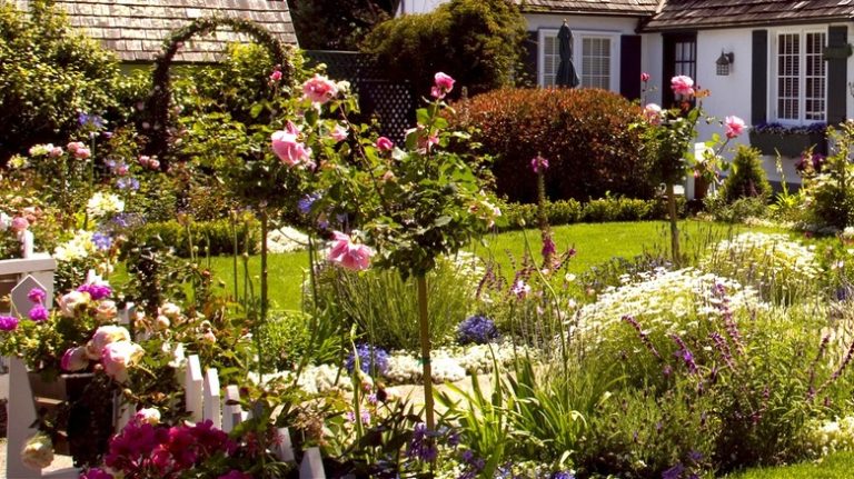 Cottage garden lining walkway