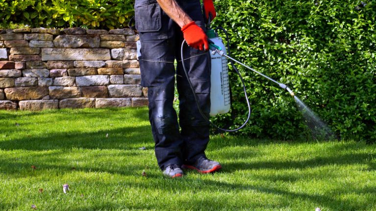 person spraying herbicide