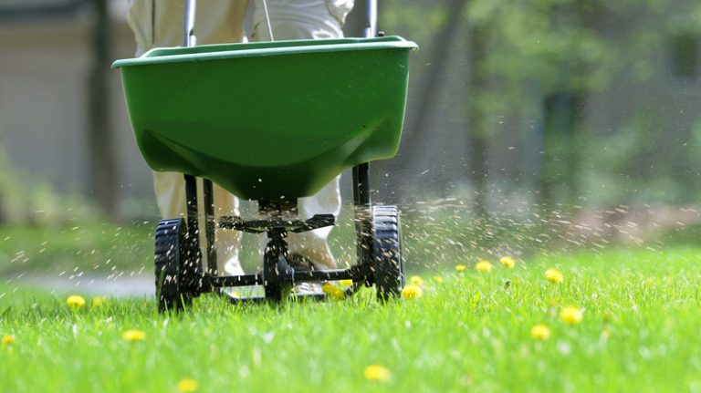 person spreading fertilizer