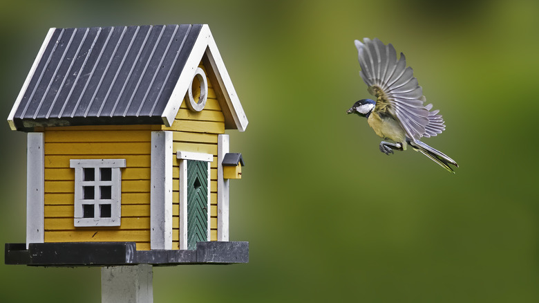 Bird flying to a birdhouse