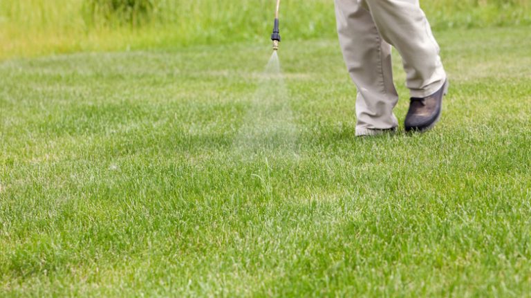 Person spraying lawn