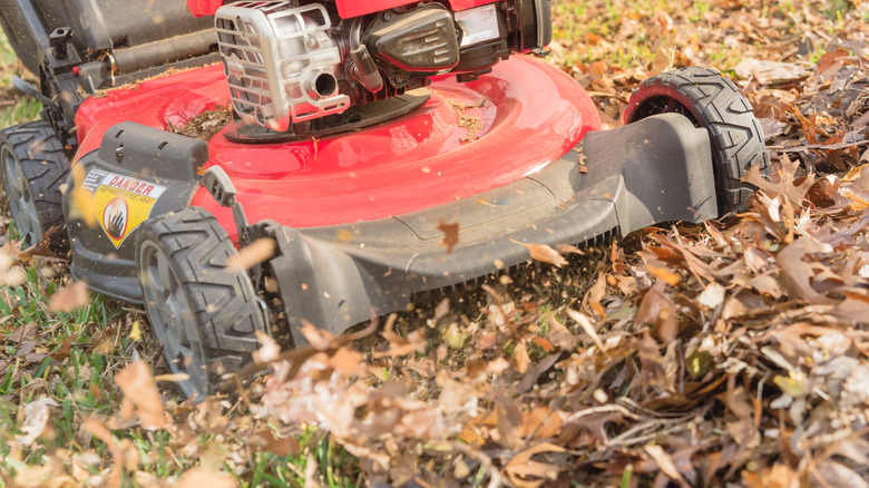 mower mulching leaves