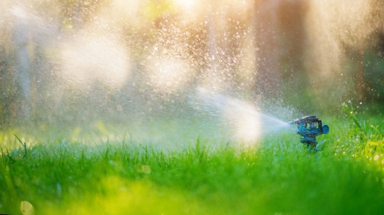 Sprinkler watering lawn