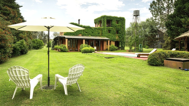 Chairs and umbrella in backyard