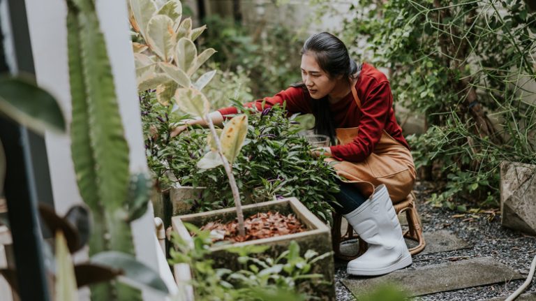 woman working in garden