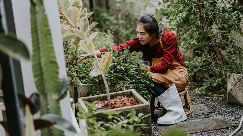 woman working in garden