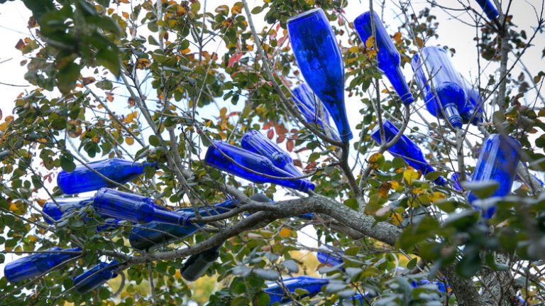 Bottle tree