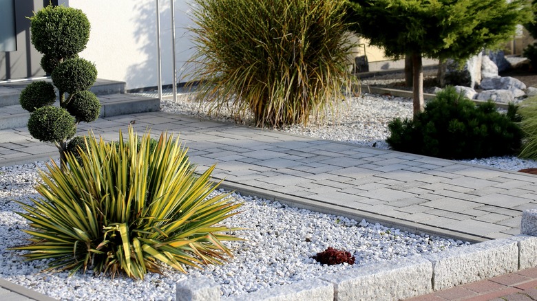 Modern home gravel garden