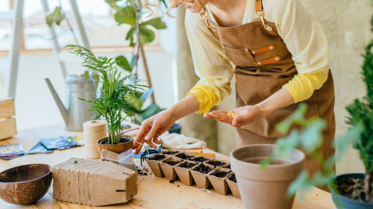 woman sowing seeds indoors