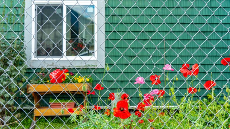 Cute chainlink fence garden