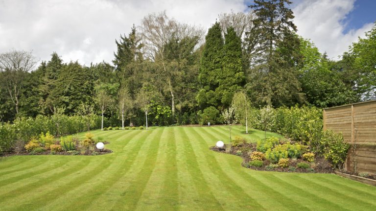 striped lawn near trees