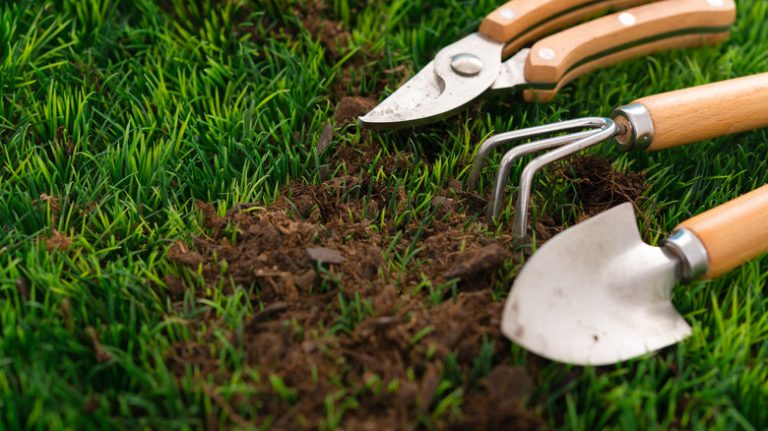 garden tools in dirt