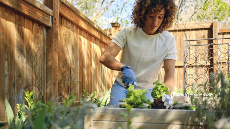 Working in the garden