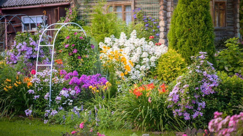 Ornamental garden