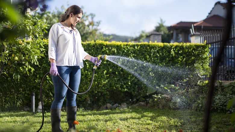 Woman watering with garden hose