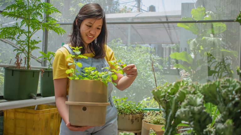 woman holding mint plant