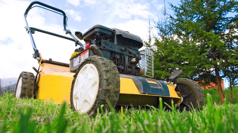 person mowing the lawn