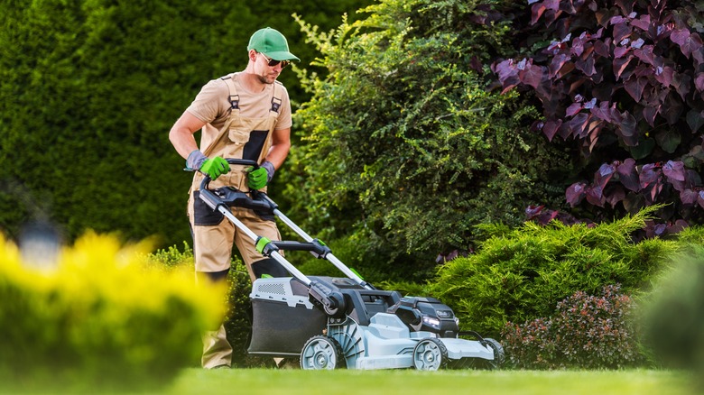 man mowing lawn