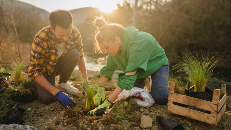 couple planting ornamental grass