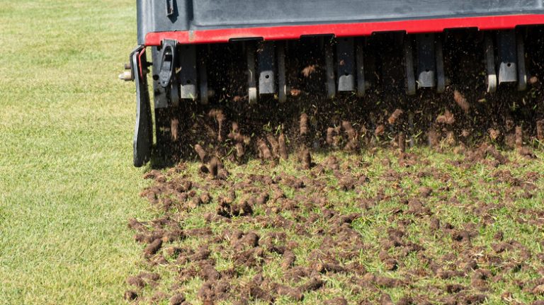 Core aeration of green lawn