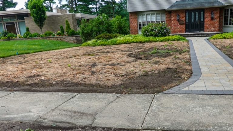 House with mostly bare lawn