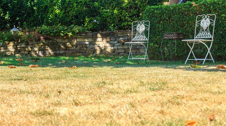 Yellow front lawn with chairs