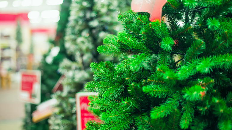 Artificial Christmas trees indoors