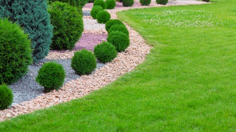 Manicured lawn