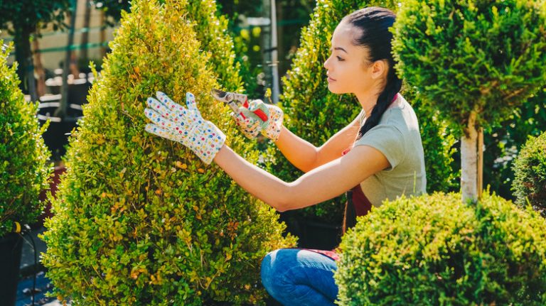 woman tending to young trees