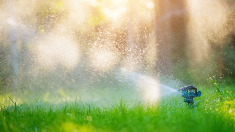 Lawn sprinkler in action