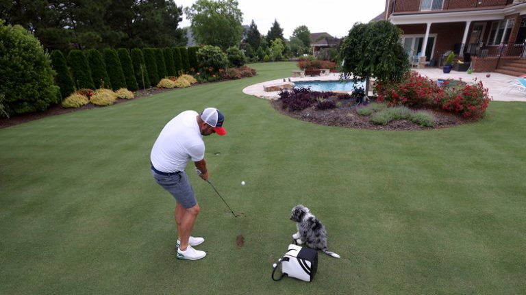 man golfing in backyard