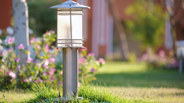 solar lamp in yard