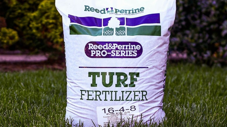 Decoding the Meaning of Lawn Fertilizer Numbers - Global Ideas