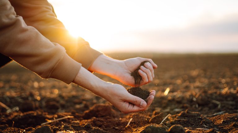 Farmer holding soil in hands