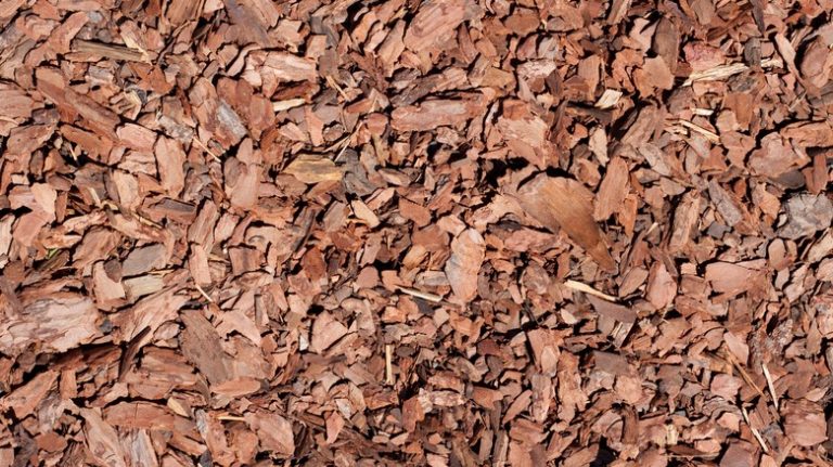 Close up of mulch